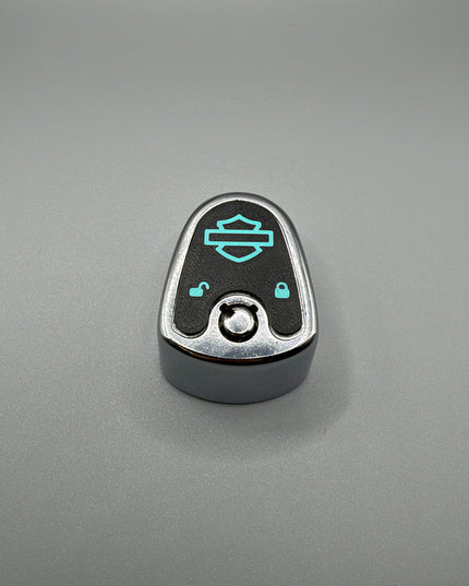 03-13 Touring Ign Knob Label - Black/Teal